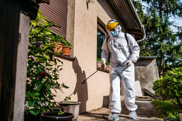 Best Pest Control Near Me in Chenoweth, OR